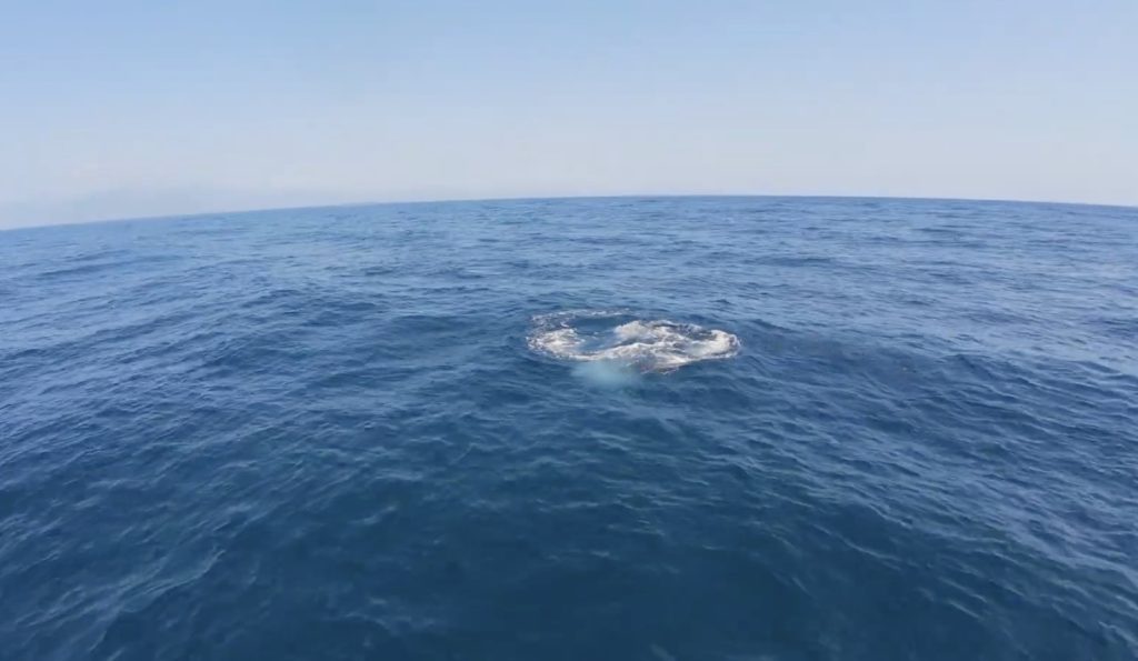 Deep sea fishing in Panama